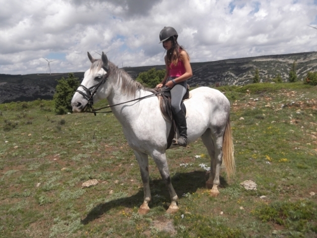  in cima al cavallo 